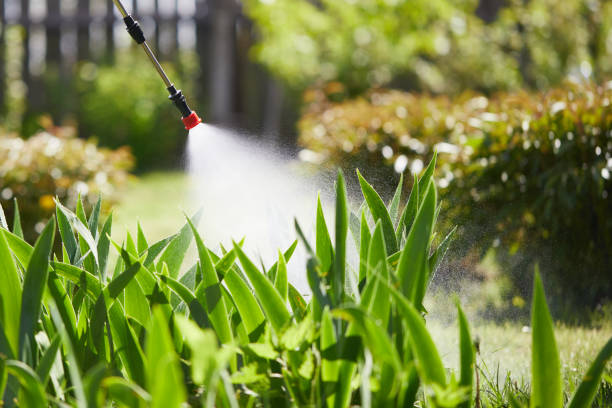 24/7 Emergency Cockroach Control experts in Eatonville, FL
