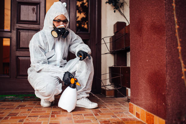 Reliable Cockroach Control contractor in Eatonville, FL by Nex Pest Control