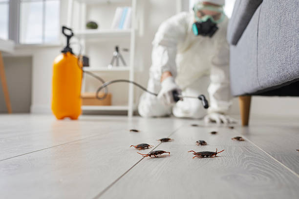 Trusted Rodent Control service in Eatonville, FL - Nex Pest Control