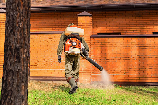 Trusted Mosquito Control service in Eatonville, FL - Nex Pest Control